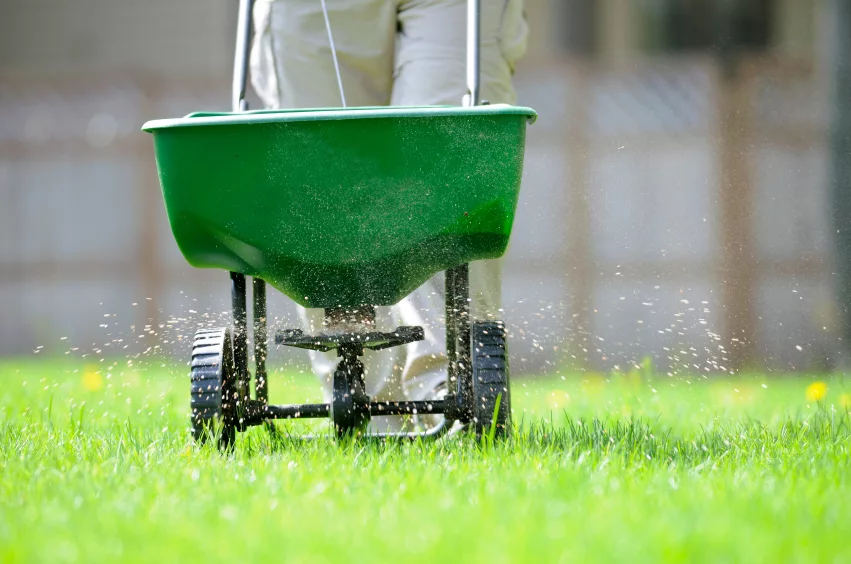 Lawn Care Lehi Ut