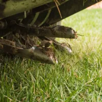 Core Aeration 