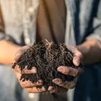 hand-holding-soil