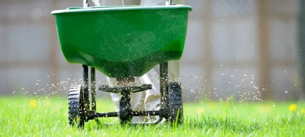 how to choose the perfect weed control method