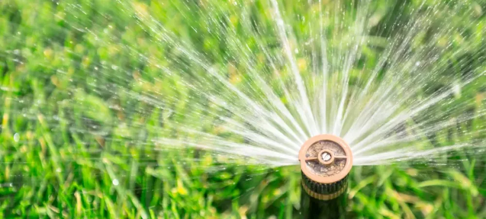 sprinkler on grass