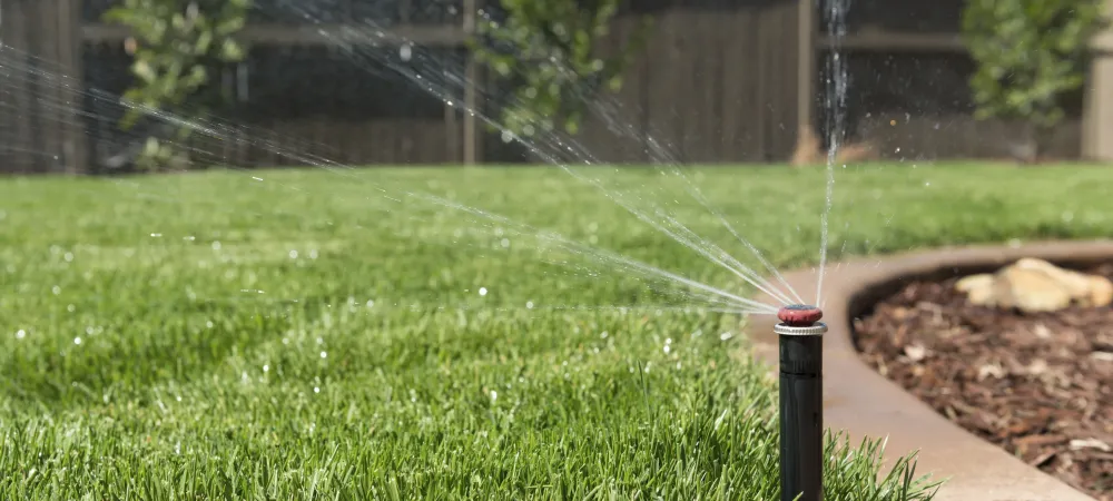 sprinklers on grass