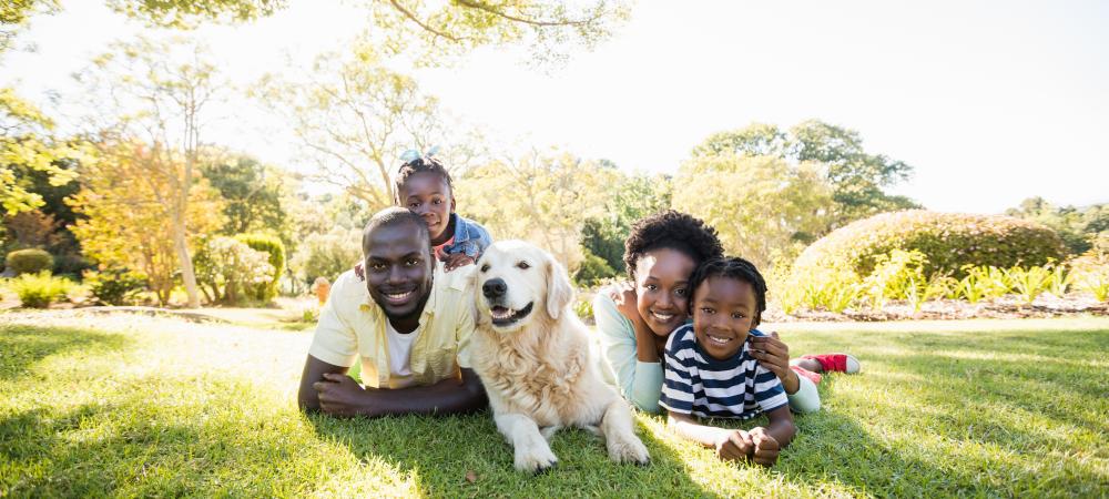 family laying down on lawn